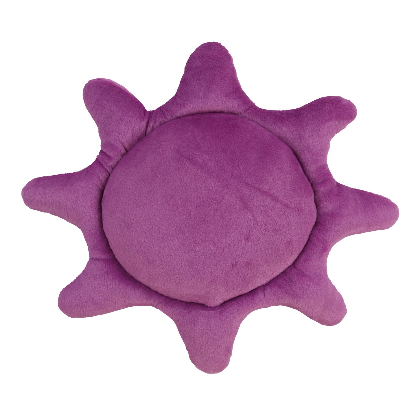 Glo Sun Thorn Pillow (Purple)